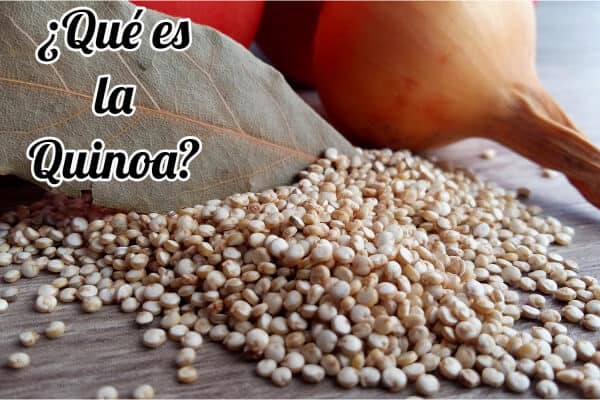 ¿Qué es la Quinoa?
