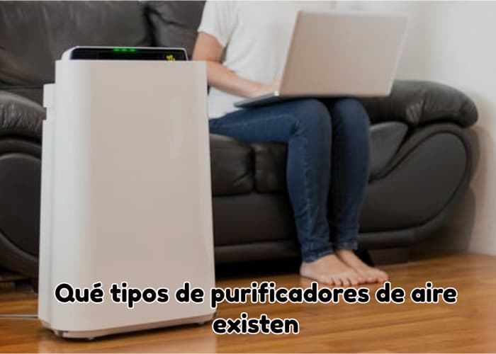 Qué tipos de purificadores de aire existen